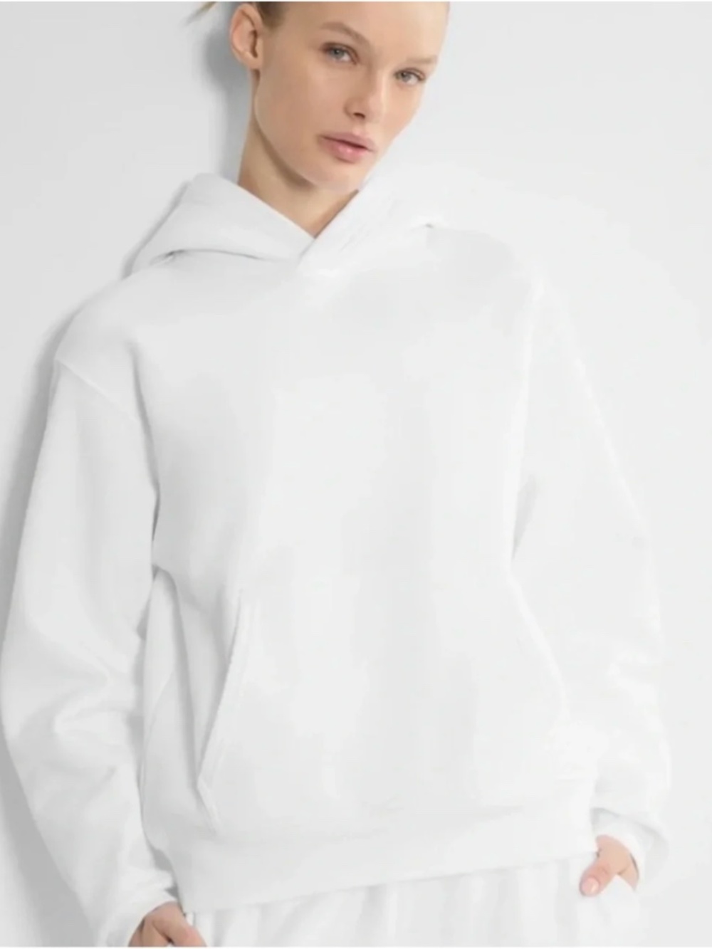 Aritzia Cozy Sweatfleece Perfect Hoodie